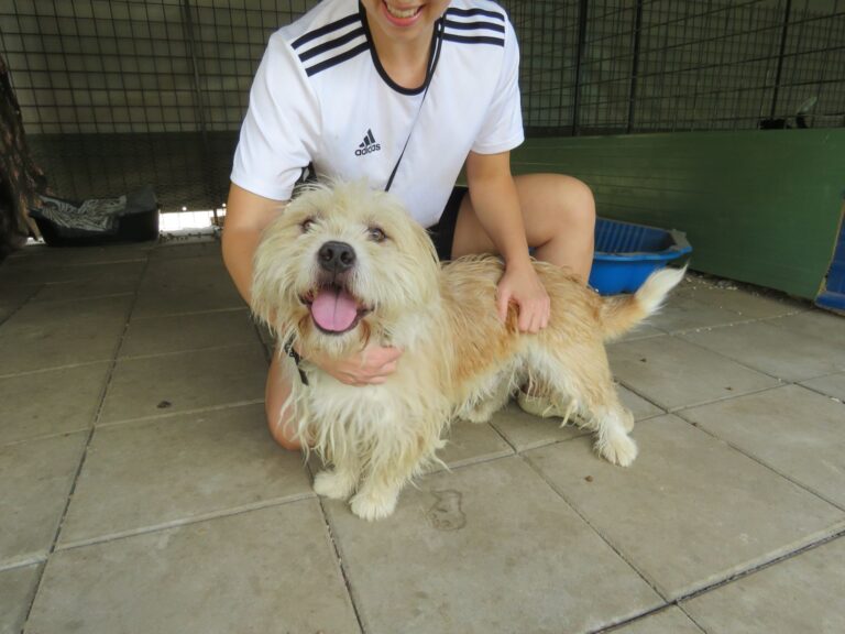 Buddy